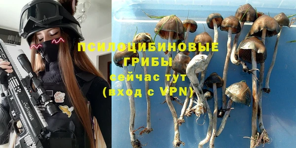 стаф Майский