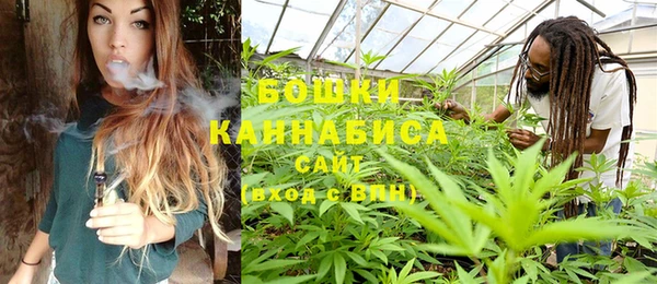 стаф Майский