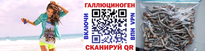 что такое   Липецк  Псилоцибиновые грибы ЛСД 